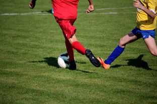 爱游戏体育娱乐-“拳王争霸：四川省体育馆拳击赛将诞生新的世界拳王”